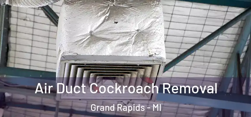 Air Duct Cockroach Removal Grand Rapids - MI