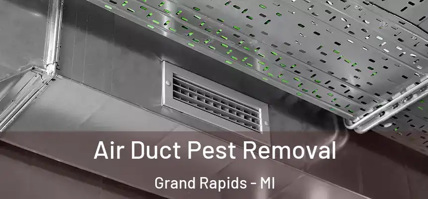 Air Duct Pest Removal Grand Rapids - MI