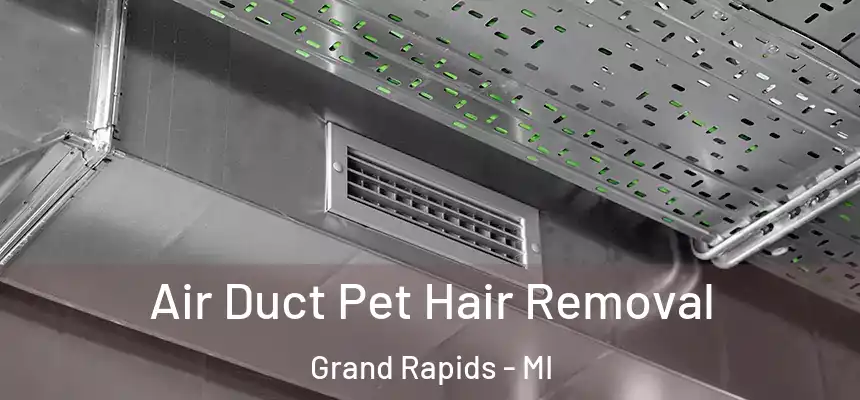 Air Duct Pet Hair Removal Grand Rapids - MI