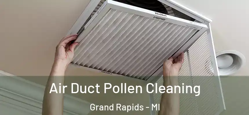 Air Duct Pollen Cleaning Grand Rapids - MI