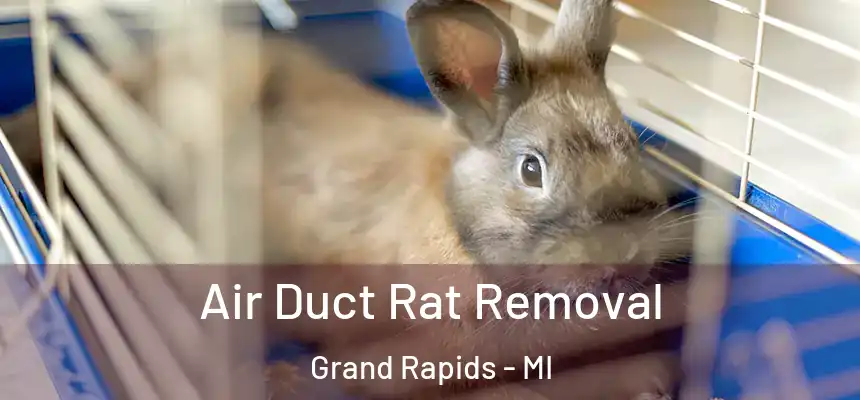 Air Duct Rat Removal Grand Rapids - MI