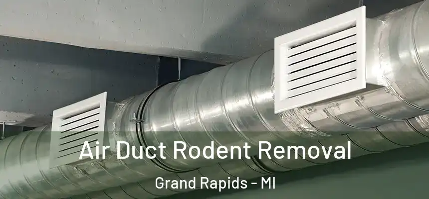 Air Duct Rodent Removal Grand Rapids - MI
