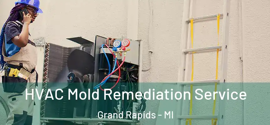 HVAC Mold Remediation Service Grand Rapids - MI