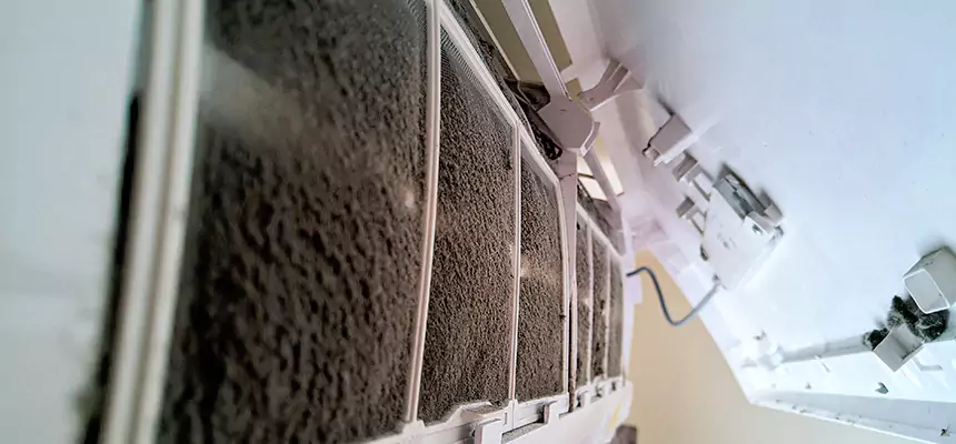 Preventive Air Duct Bacteria Removal in Grand Rapids