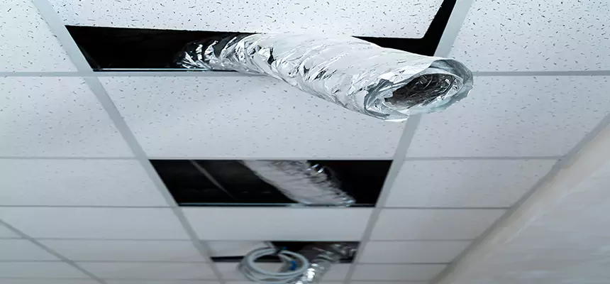 Affordable HVAC Sanitizing After Pest Removal in Grand Rapids