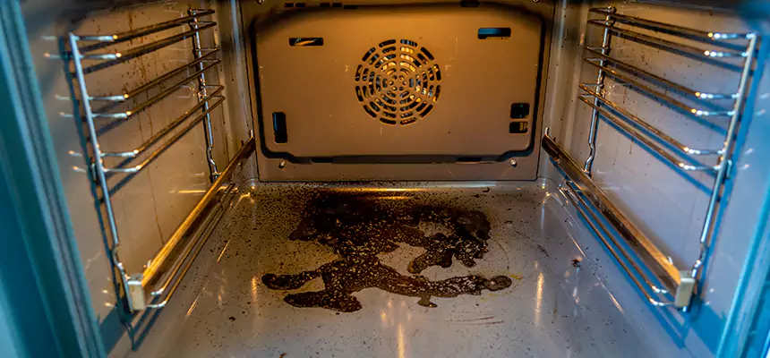 Our Dryer Vent Mold Cleaning Services in Grand Rapids, MI