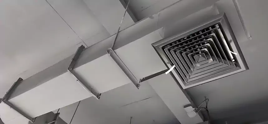 Our Pest Removal From Ducts Services in Grand Rapids, MI