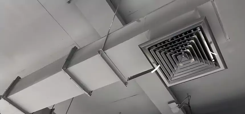 Our Rodent Droppings In Vents Services in Grand Rapids, MI