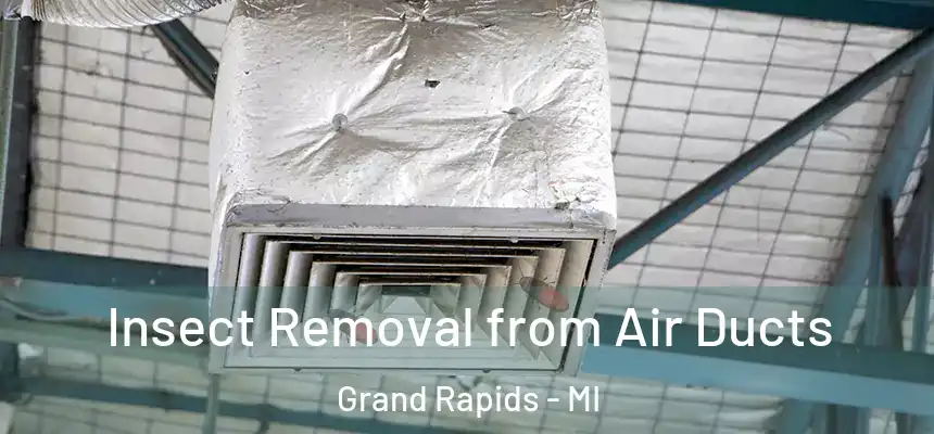 Insect Removal from Air Ducts Grand Rapids - MI