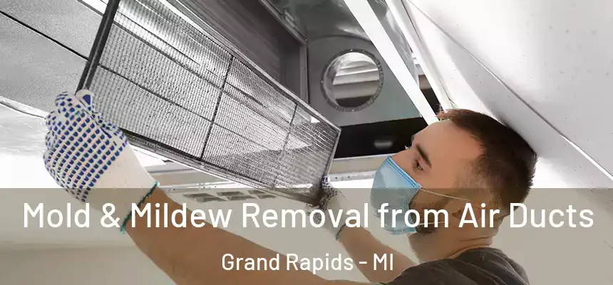 Mold & Mildew Removal from Air Ducts Grand Rapids - MI