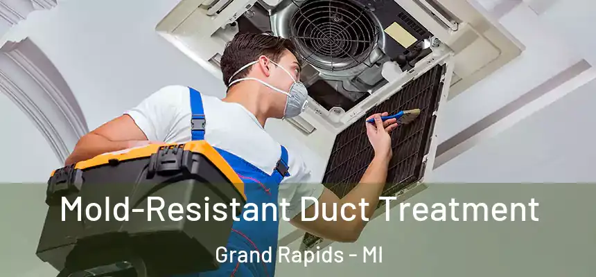 Mold-Resistant Duct Treatment Grand Rapids - MI