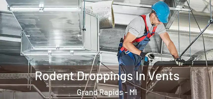 Rodent Droppings In Vents Grand Rapids - MI