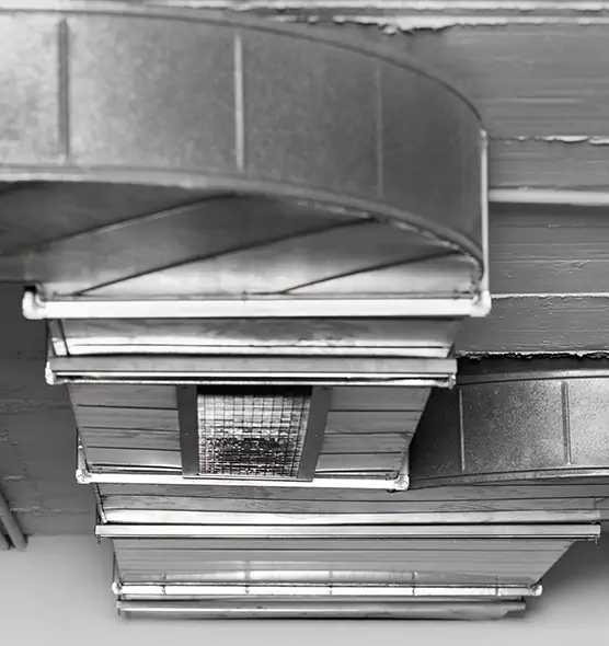 Professional Air Duct Pet Hair Removal in Grand Rapids, MI