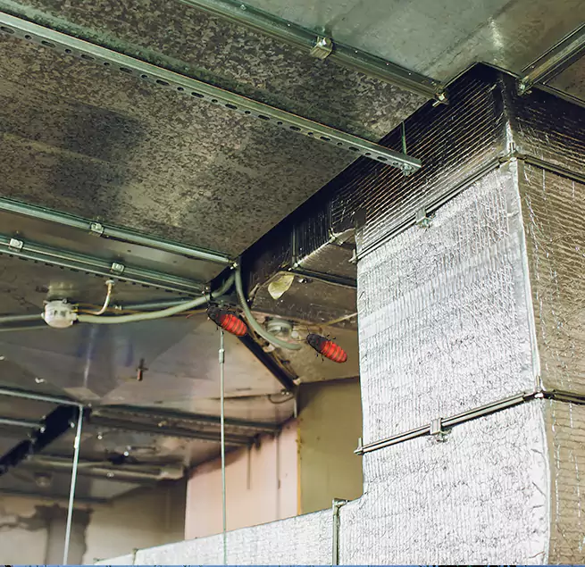 Why Homeowners & Businesses Trust Us in Grand Rapids, MI?