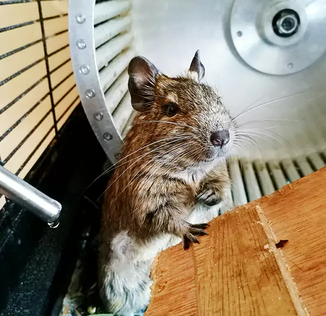 Why Homeowners & Businesses Trust Us Grand Rapids, MI